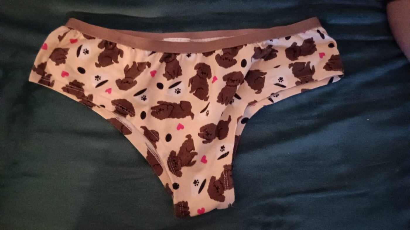 Bragas de perritos