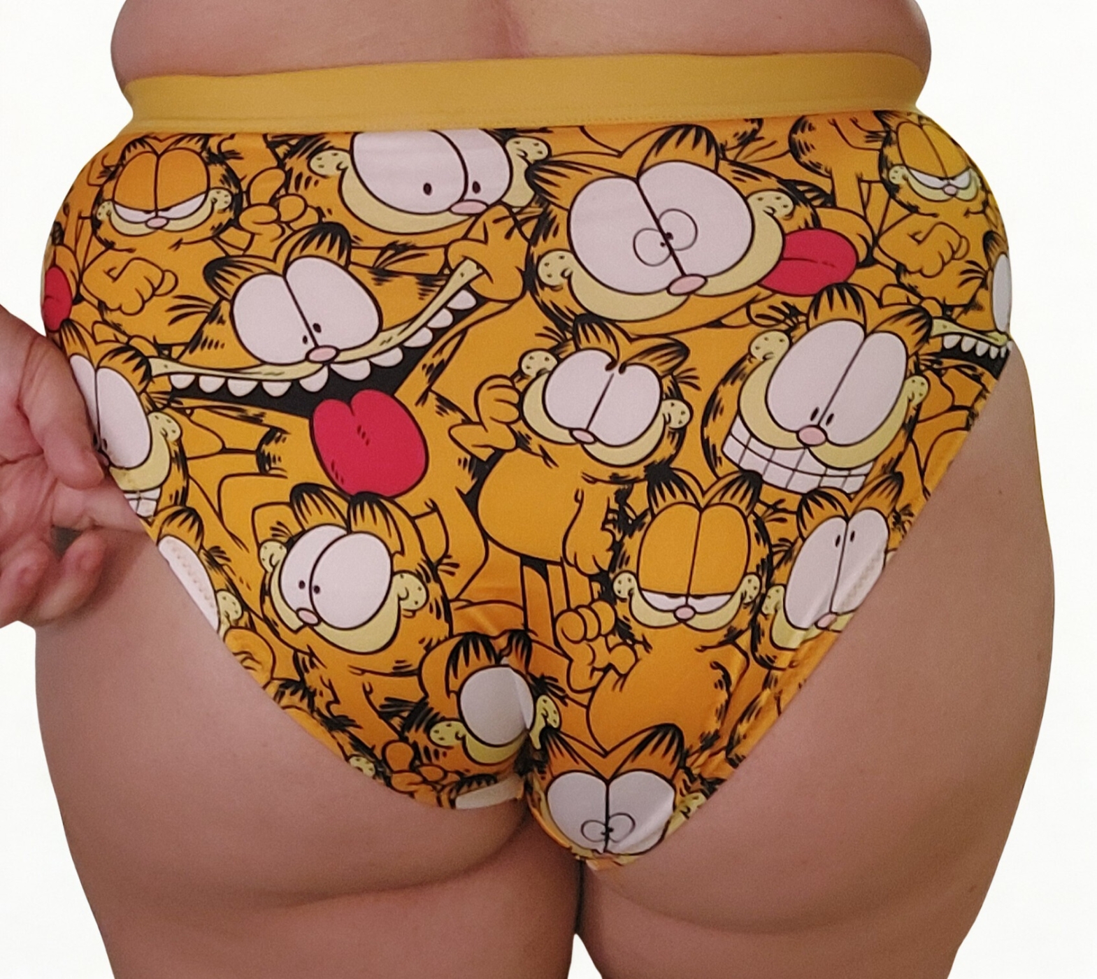 Bragas Garfield