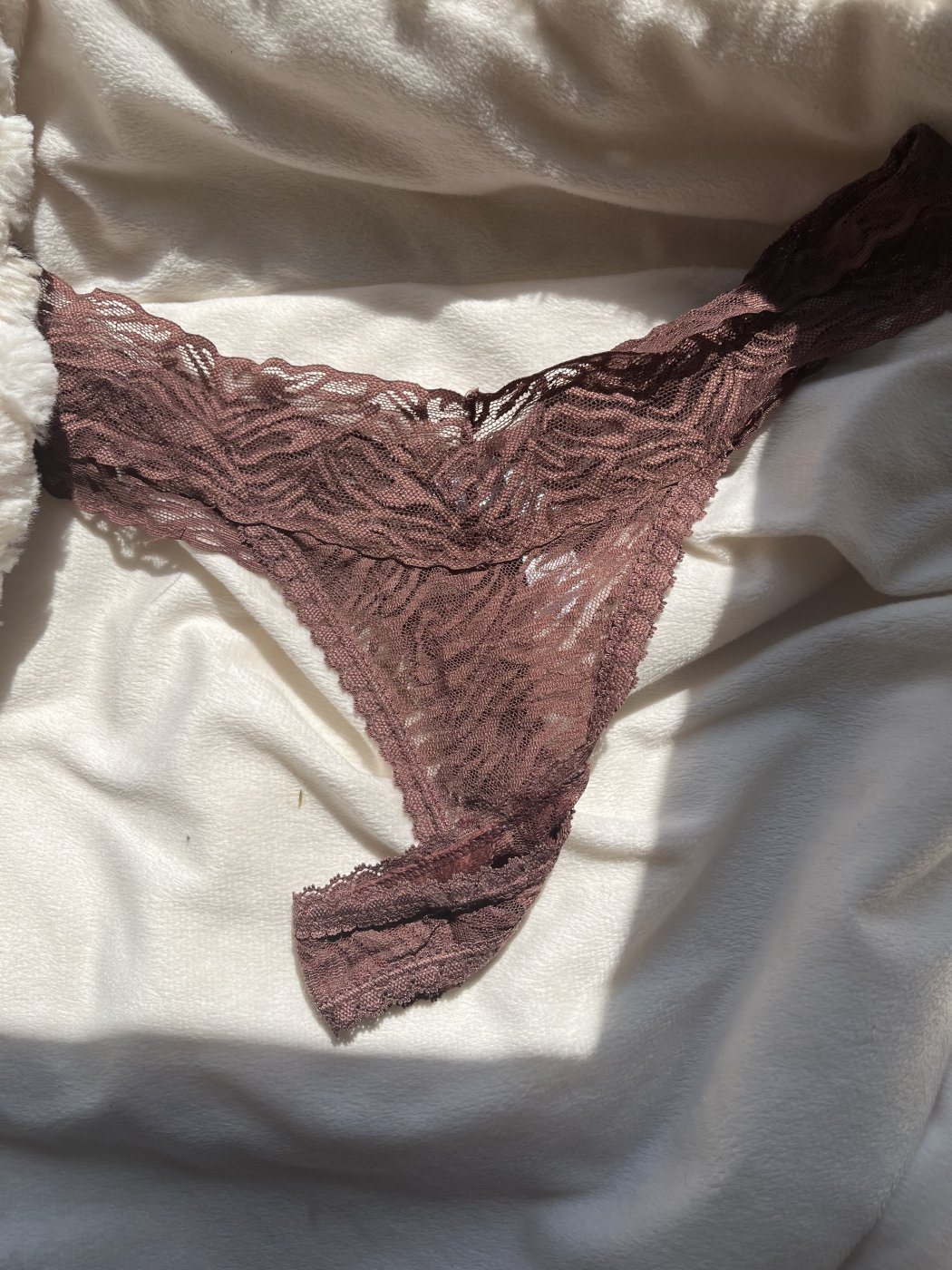 Burgundy lace thong