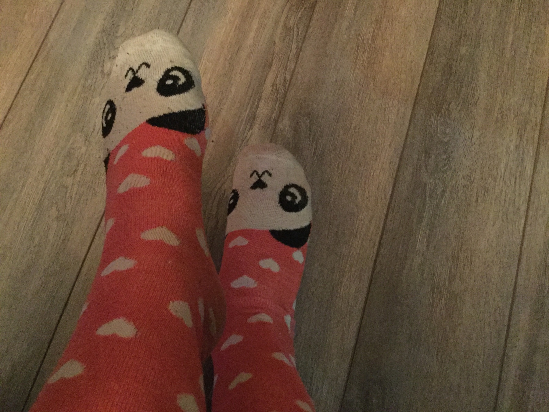 Cute pink panda 🐼 socks!
