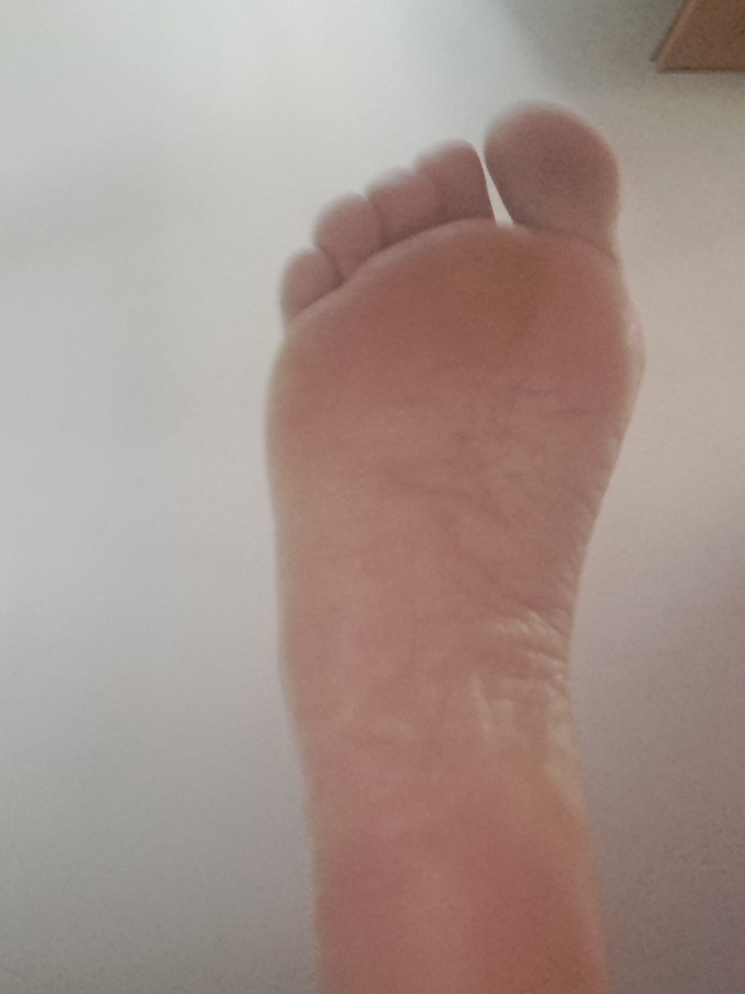 Mutande calze scarpe