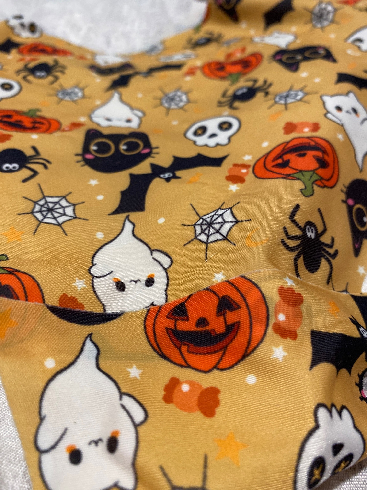 Halloween – photo 2 of 2