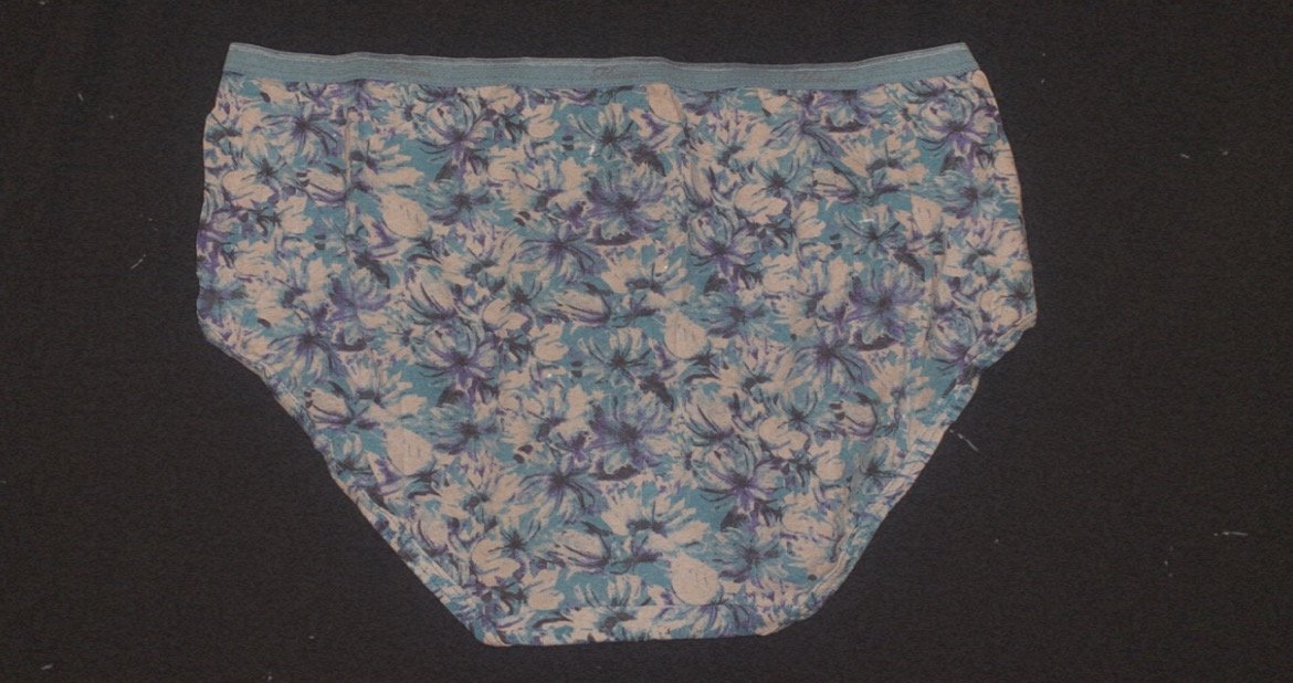 **SOLD** 🩵 Blue Flower Hanes Bri… - 1