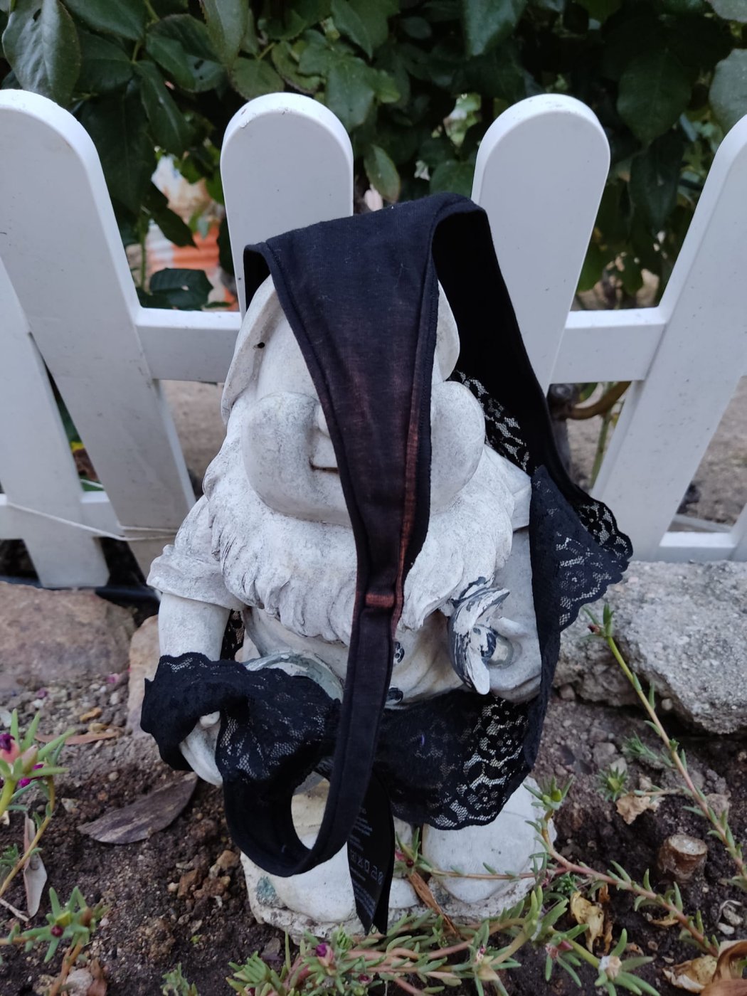Tanga bicolor por flujo ácido sin lavar de dos puestas – foto 2 de 2