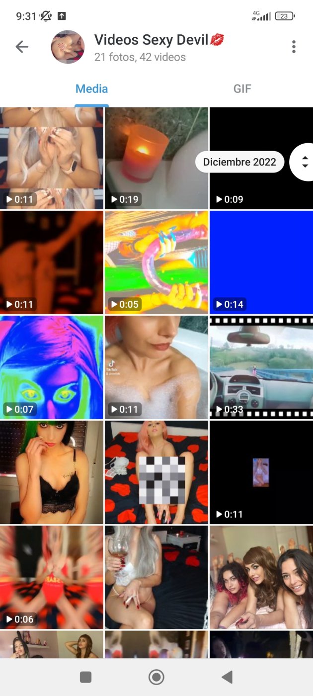 Catálogo de videos