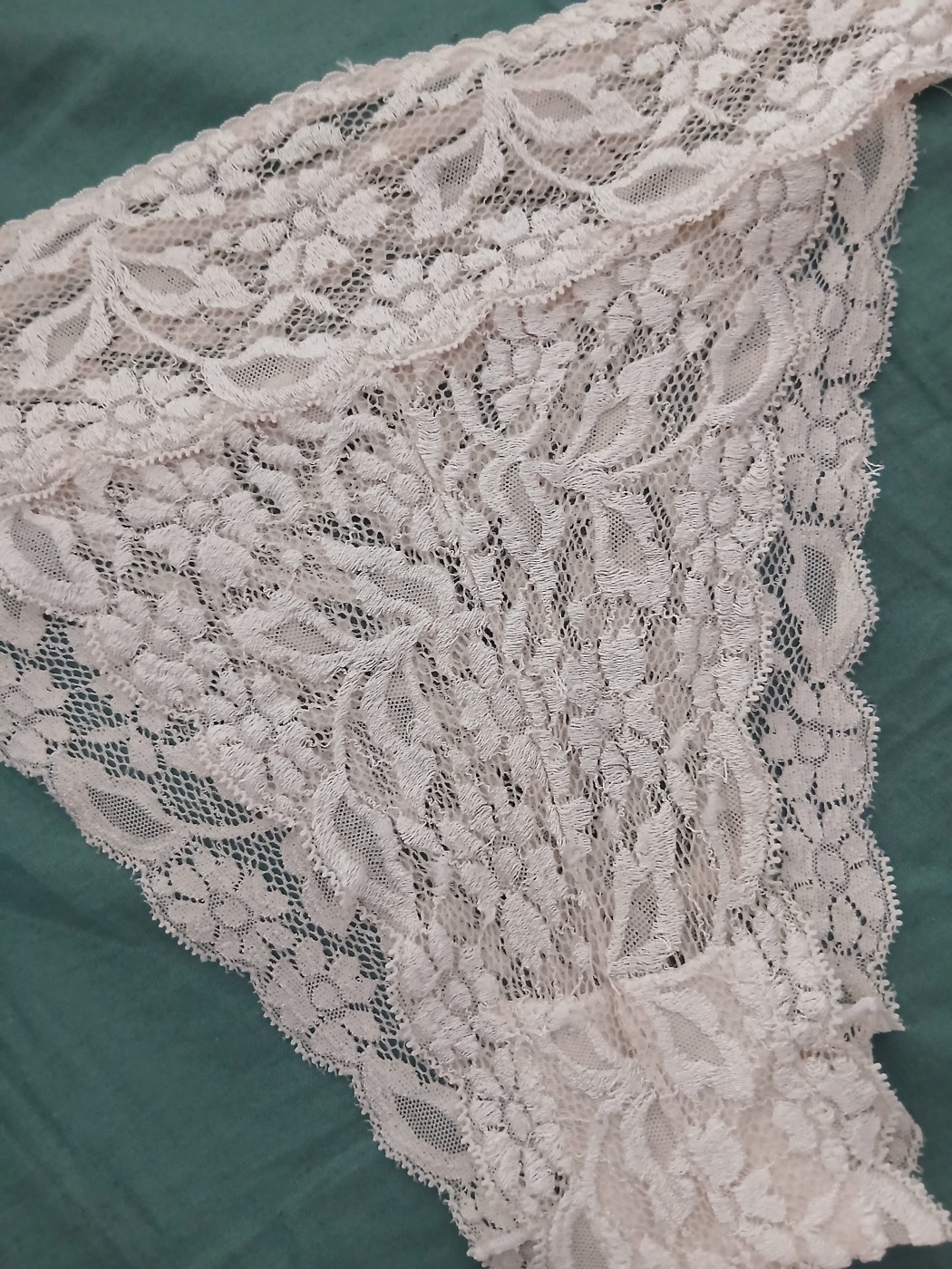 Pizzo bianco succulento – foto 2 di 2