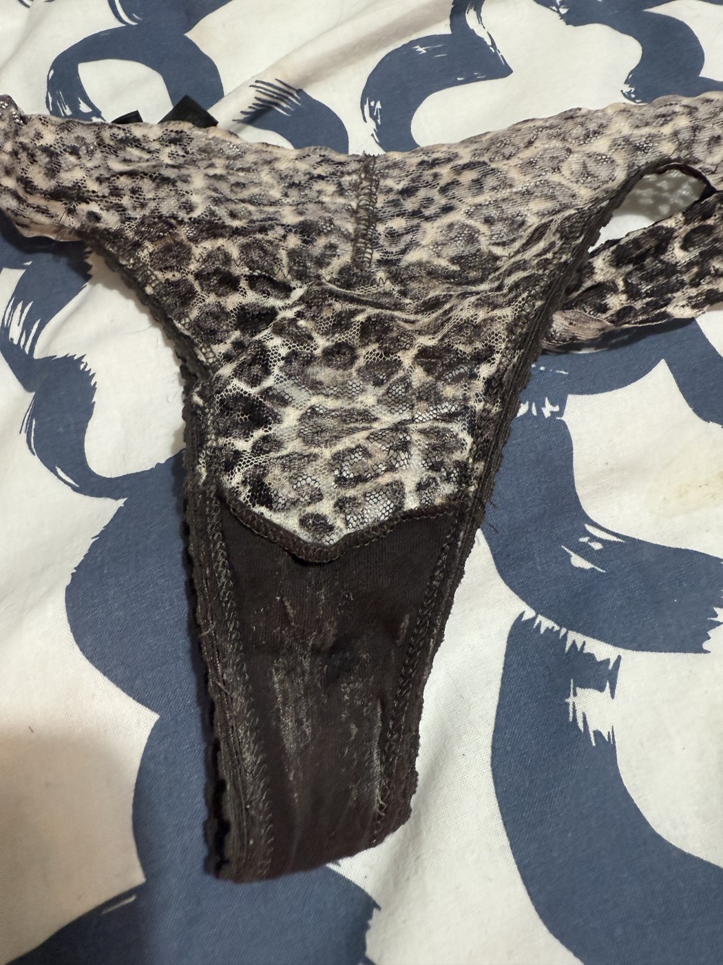 Tanga de leopardo manchadito – foto 2 de 2