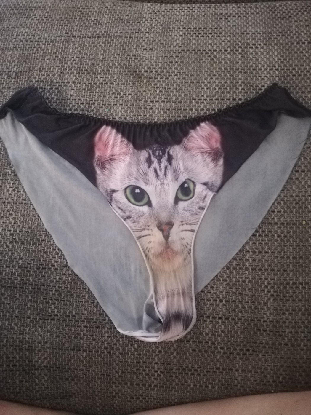 Mutandina con gatto