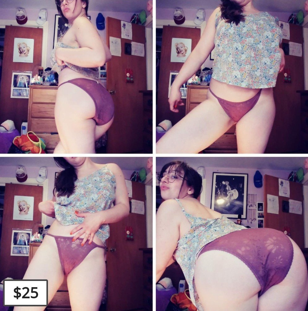 Mauve Purple Lace High Waisted Bikini Panties LARGE