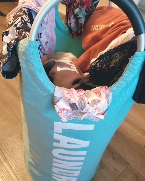 My Dirty Laundry Panty (you choose)