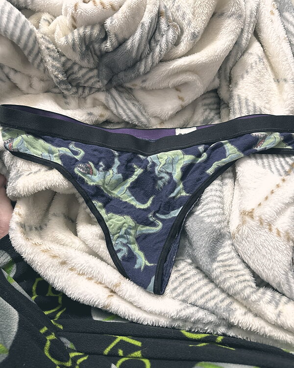 DISCOUNT SEX PANTIES see description