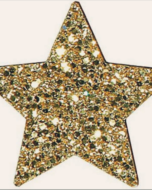 PollonStar