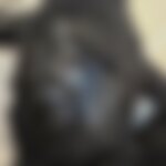 Plein de crème et 5 photos 