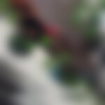 KATIR6