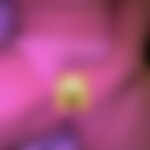 Je veux te faire jouir