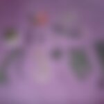 Video live pour ton plaisir