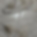 Fantasmini lerci🧦