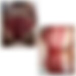 USA- PR Vino Erotic Lingeries