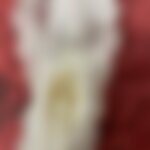 Mutandine usatissime