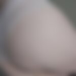 Creamy White Brazilian – Soft, S…