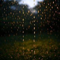 Viernes de lluvia