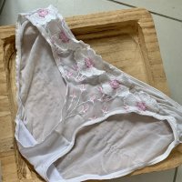 Culotte transparente