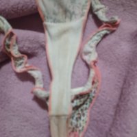 Tanga usado muy bonito......