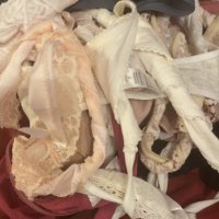 JUST MADE 15+ min panty try on v&hellip;