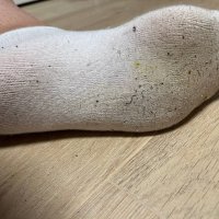 Calcetines Apestosos