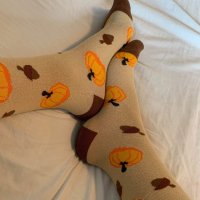 🌰🎃 cozy Brown autumn pumpkin and…