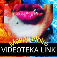 Videoteka link