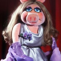 MissPiggy9238