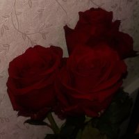 redblackandpacking