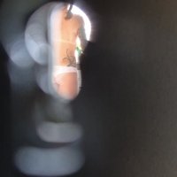 Voyeur guarda ragazza in bagno